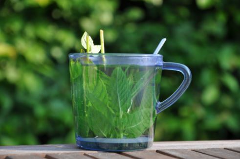 Aceite de menta usos
