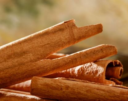 Aceite de canela Usos y beneficios