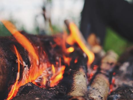 Aceite de palo santo para que sirve