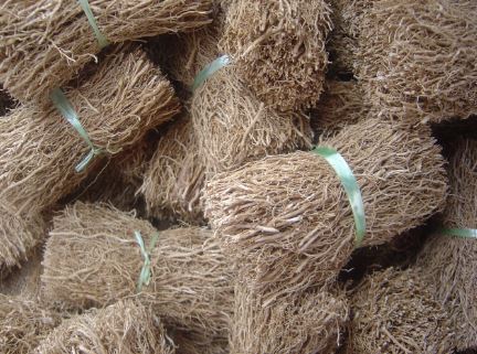 Vetiver propiedades