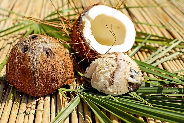 Aceite de Coco: 77 Usos y Beneficios Comprobados