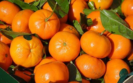 Aceite Esencial de Mandarina