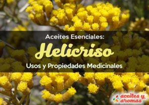 Aceite de helicriso. Usos y beneficios