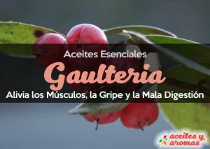 Aceite de Gaulteria: Usos