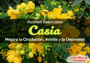 Aceite Esencial de Casia Usos y Beneficios