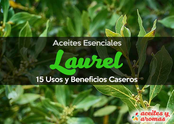 Aceite de Laurel: ¿Para qué sirve?