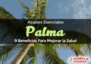Aceite de palma