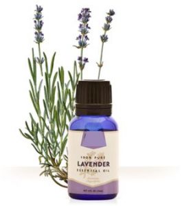 Aceite de lavanda para el sistema inmunologico