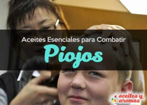 Aceites Esenciales para Combatir Piojos