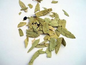 Aceites esenciales expectorantes