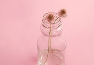 Como Hacer Esencias Para Perfumes