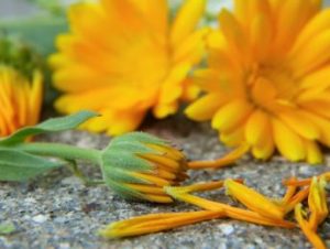 Como Mezclar Aromas
