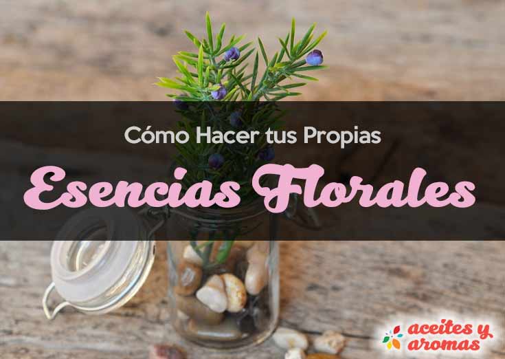 Cómo hacer esencias florales caseras